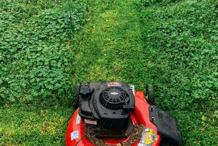 Red Lawn Mower on Grass