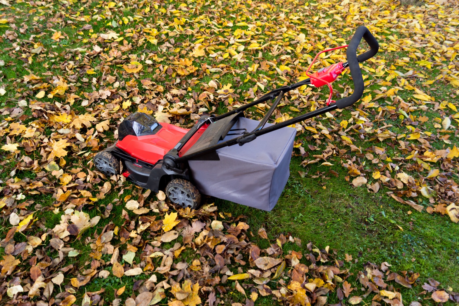 7 November Lawn Mowing Rules Missouri Homeowners Should Remember