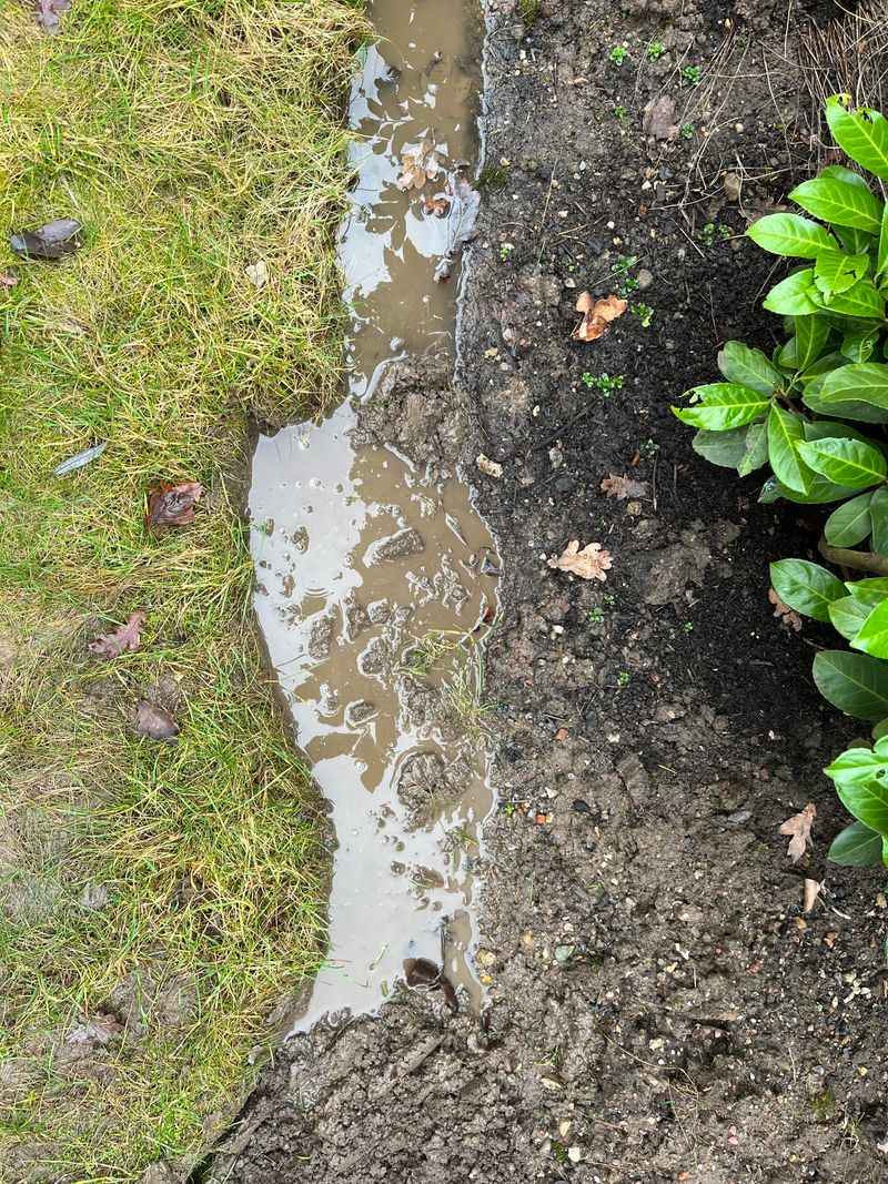 Low-Lying Areas That Collect Water