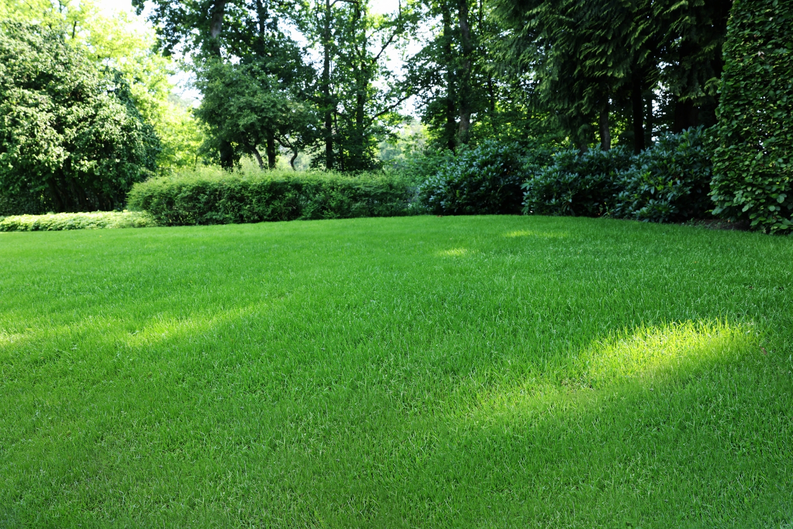7 Reasons Oregon Gardeners Are Using Baking Soda On Lawns This November