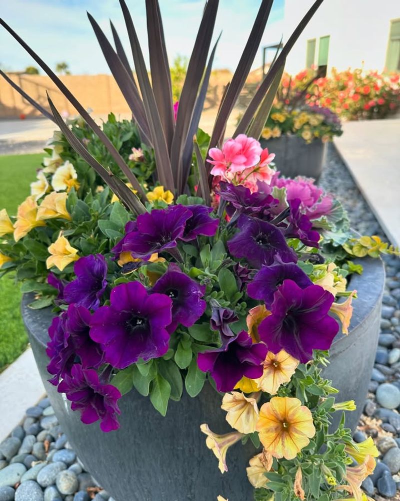 They Handle Indiana's Unpredictable Weather Like Champions