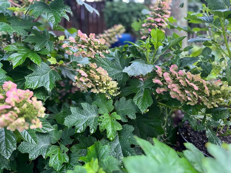 Amazing Color Transformation Throughout The Seasons