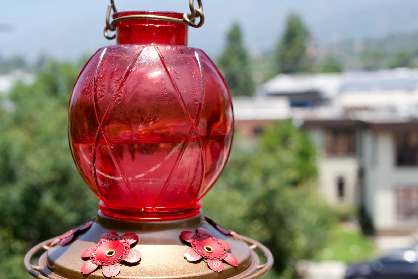 A red hummingbird feeder