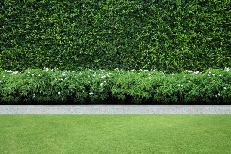 shrubs (featured image)