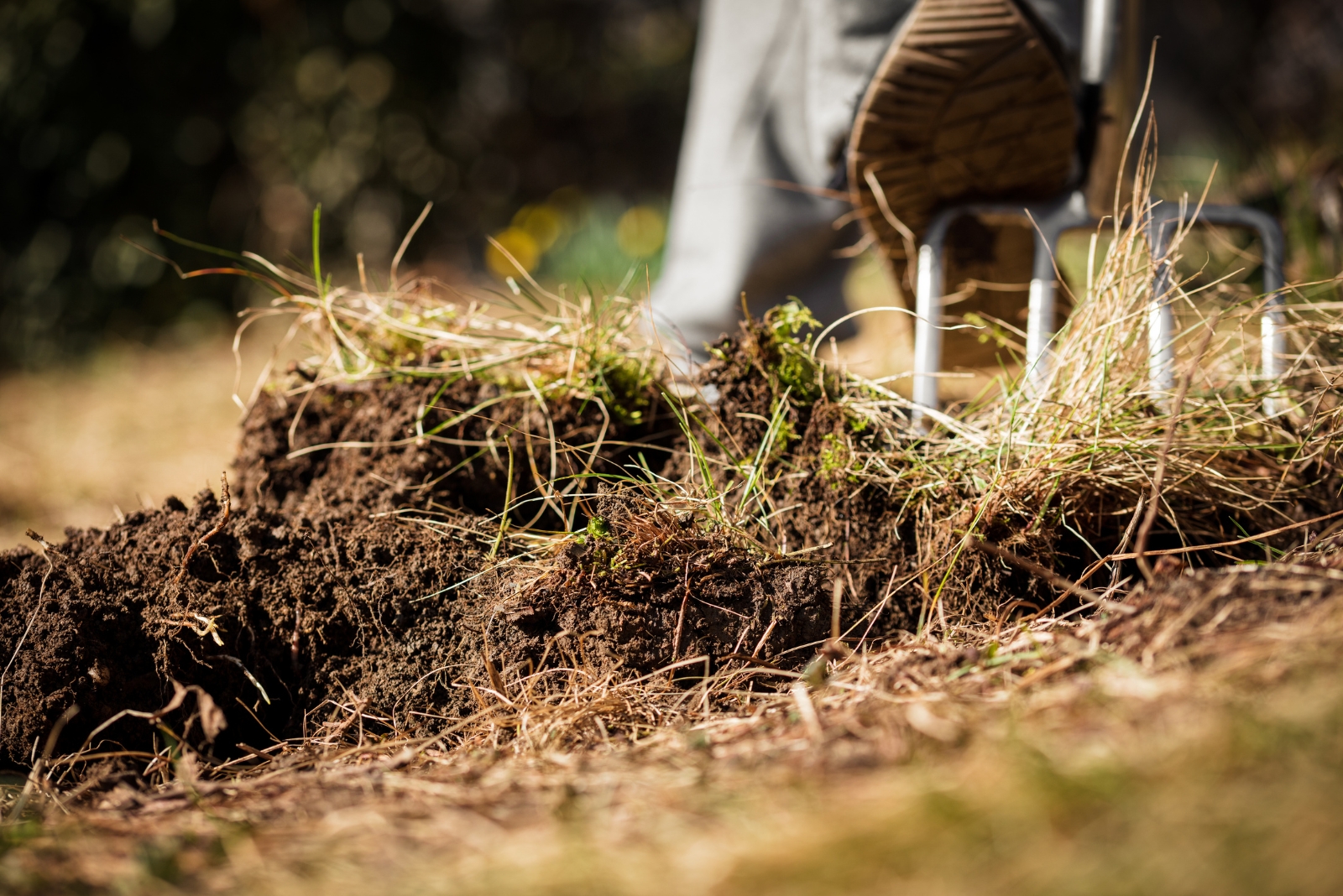7 Ways To Get Your Soil Ready For Spring This November In California