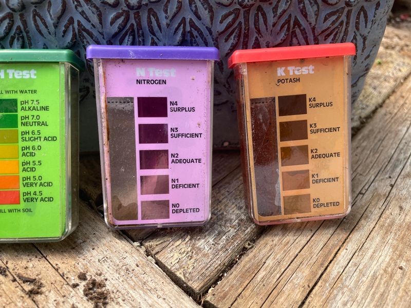 Test Your Soil pH and Nutrient Levels