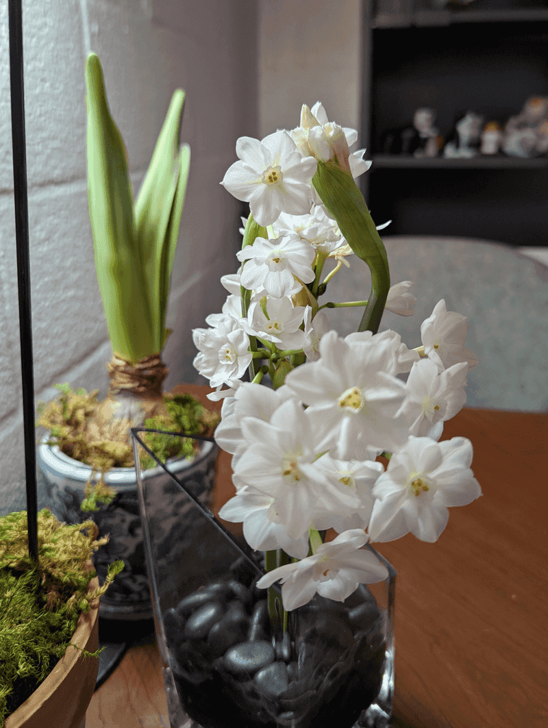 8. Creates A Welcoming Atmosphere