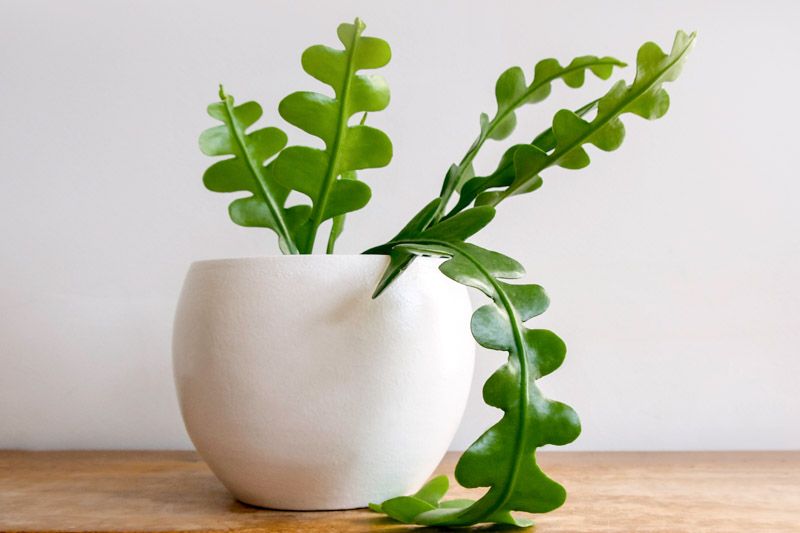 8. Provide A Rest Period