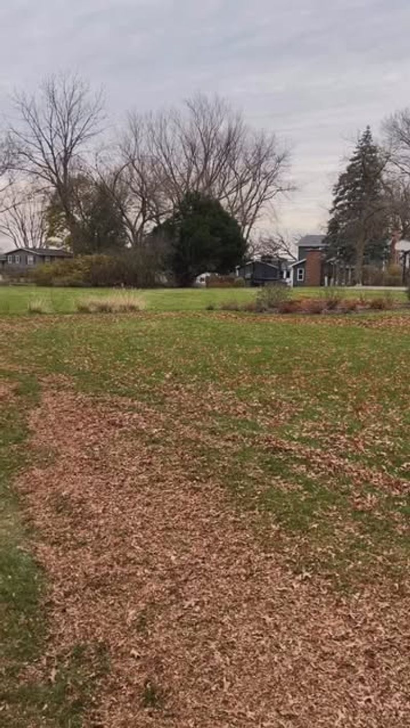 Cutting Grass Too Short Before Winter