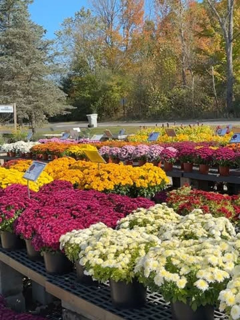 Buying Too Early in the Season