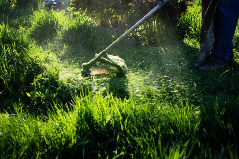 mowing a lawn with lawn mower