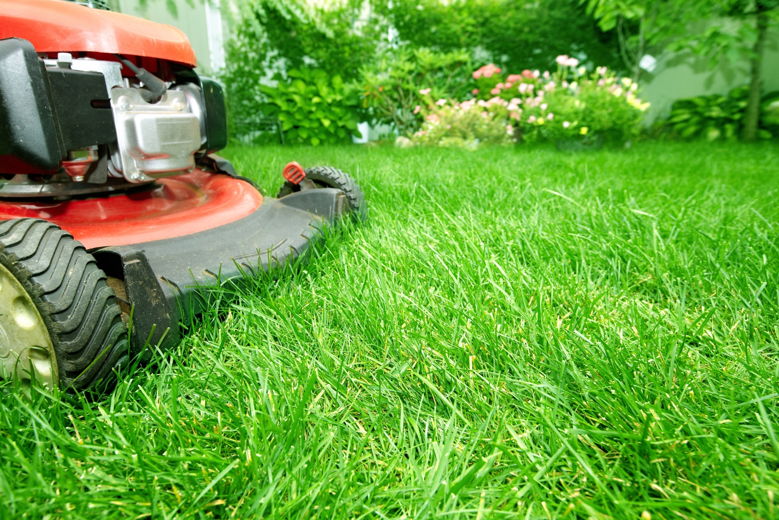 8 November Mowing Rules Colorado Homeowners Often Overlook