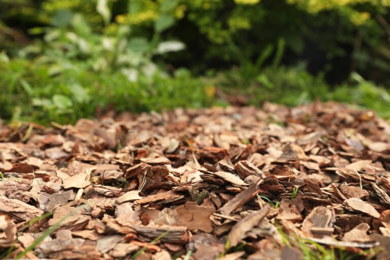 mulch (featured image)