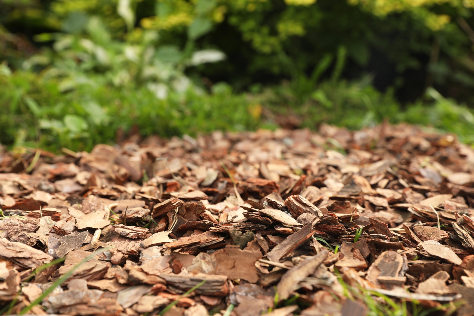 mulch (featured image)