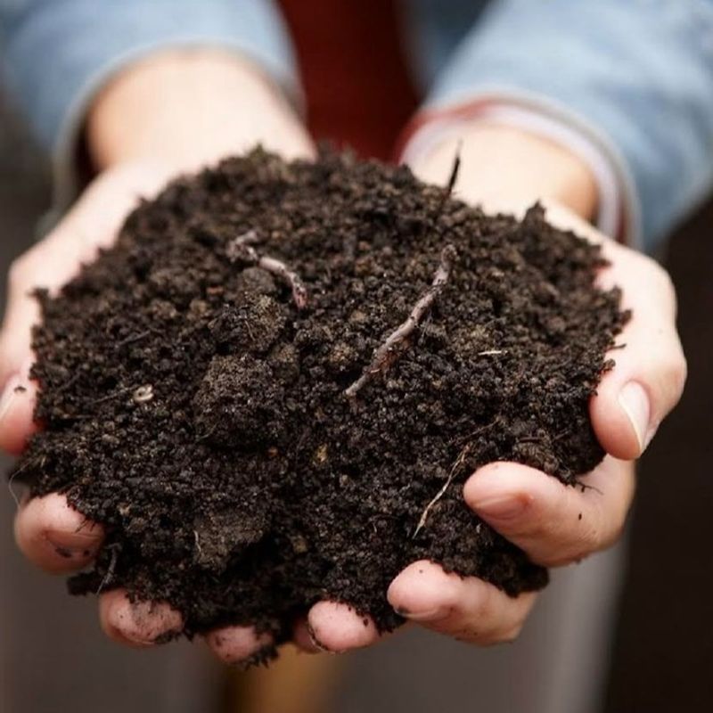 Add Organic Compost to Your Beds