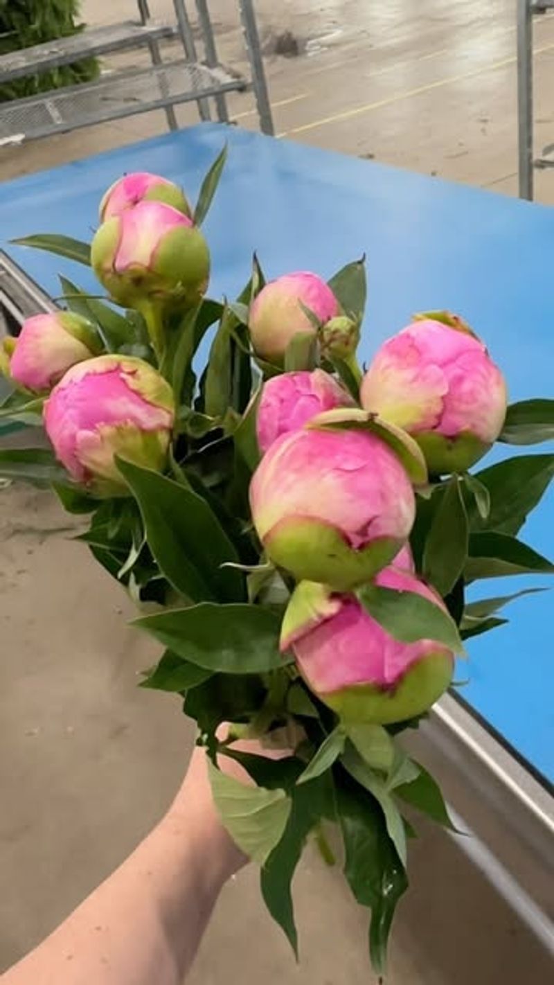 Adjust Your Watering Schedule