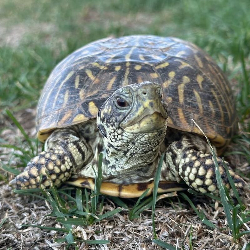 Stay Calm And Keep Your Distance