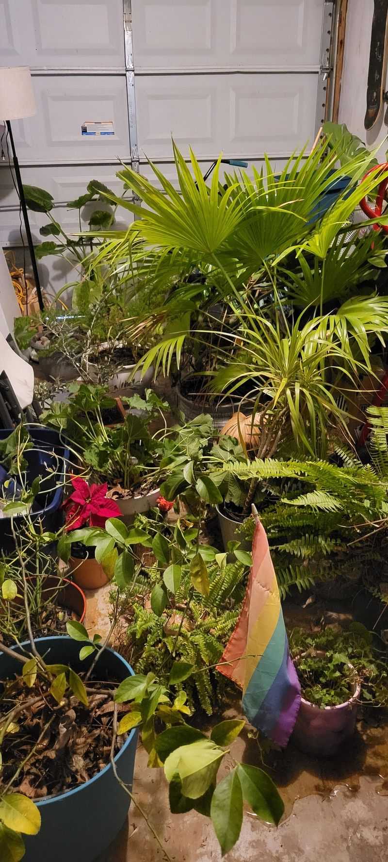 Group Plants Together For Shared Warmth