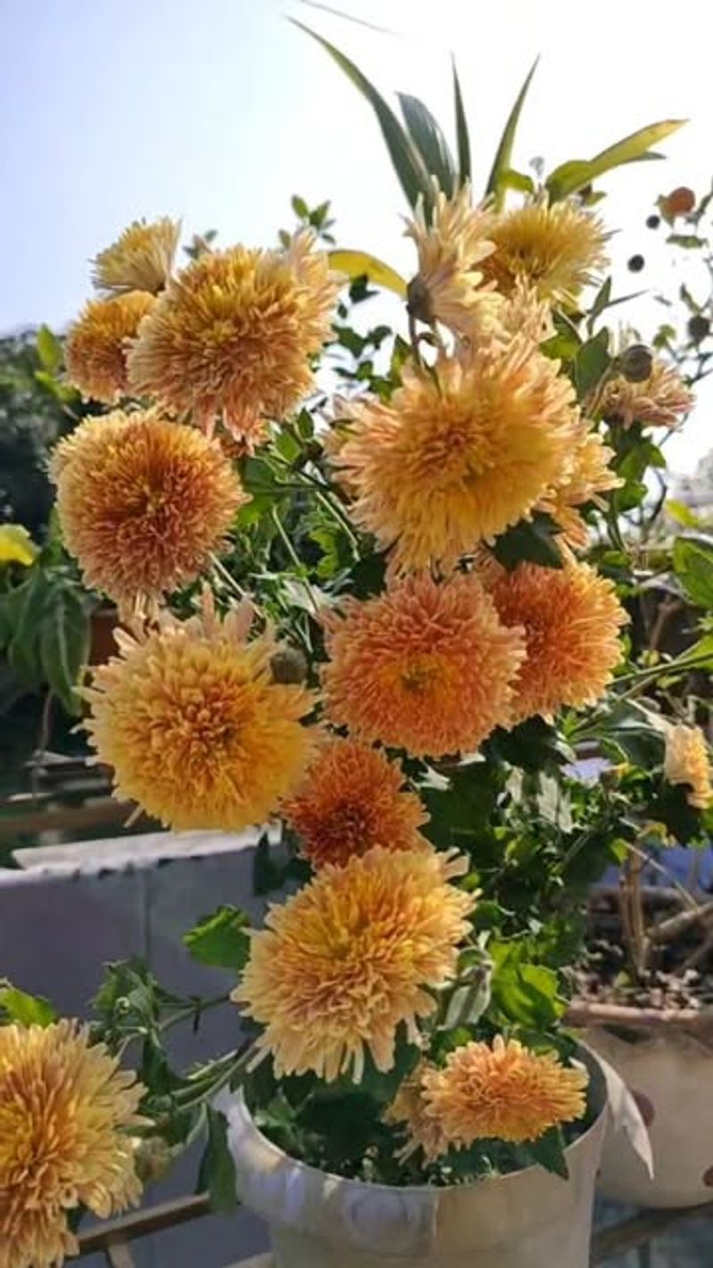 Water Deeply and Consistently