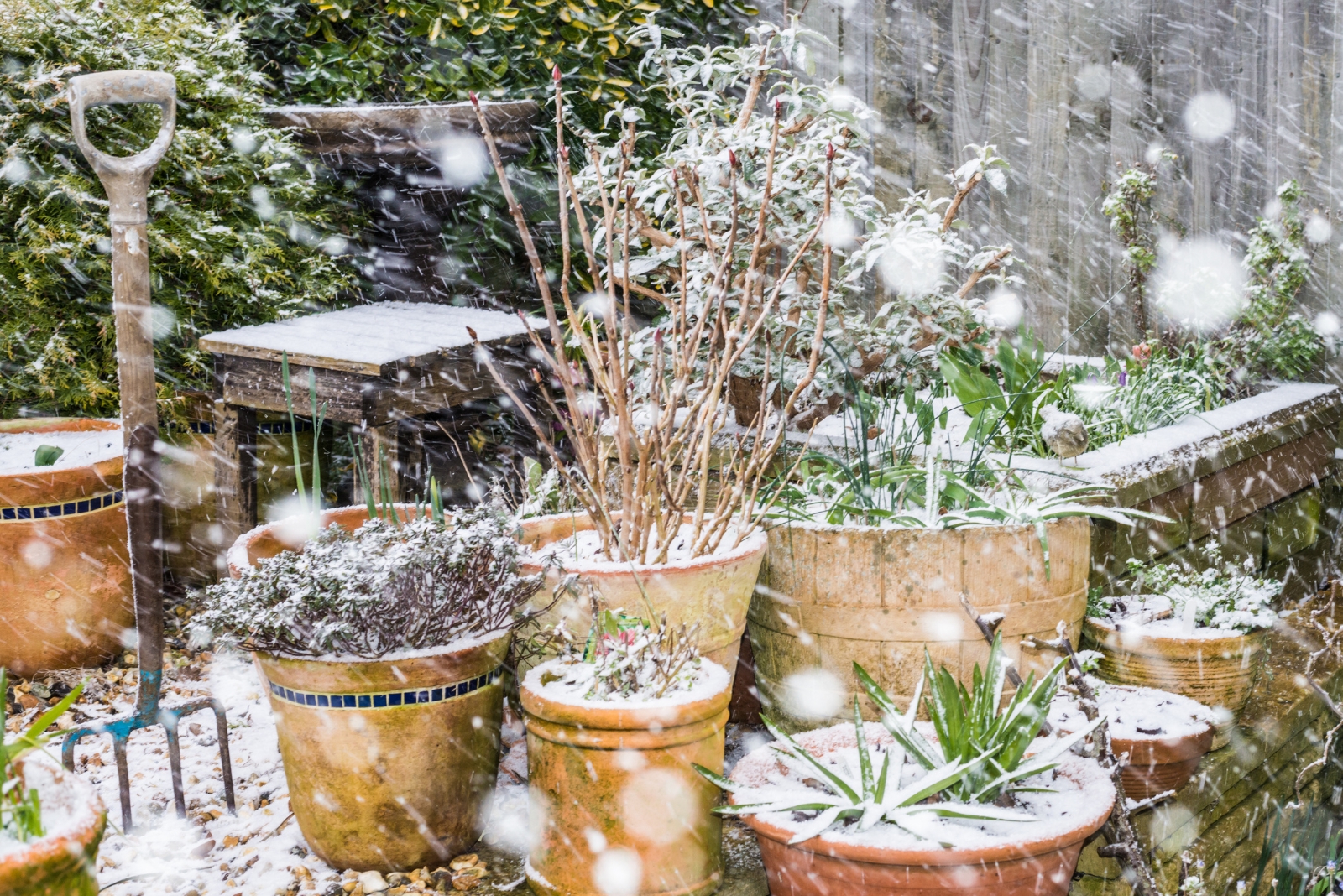 8 Ways To Protect Pots And Planters From Frost In Michigan