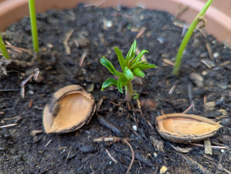 9. Be Patient And Watch For Growth