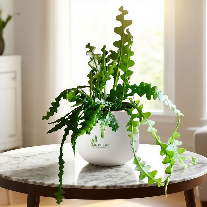 9. Avoid Moving It Around Too Much