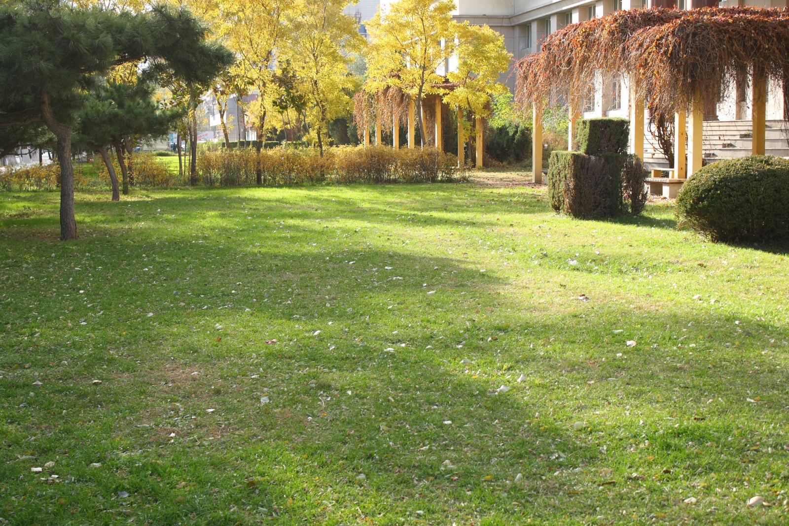 9 Lawn Mistakes That Are Ruining Pennsylvania Yards In Late Fall