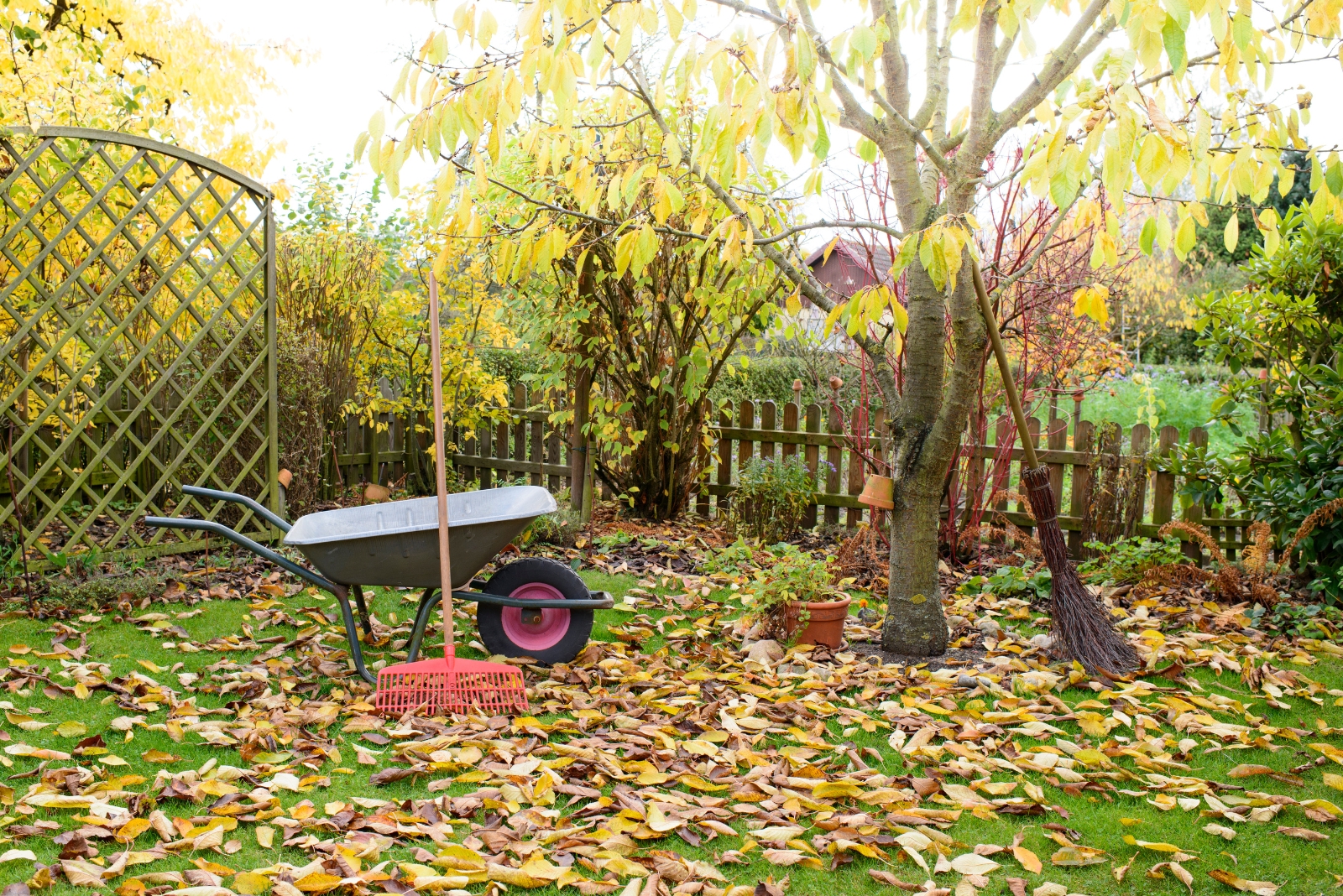 9 Lawn Mistakes That Are Ruining West Virginia Yards This Fall