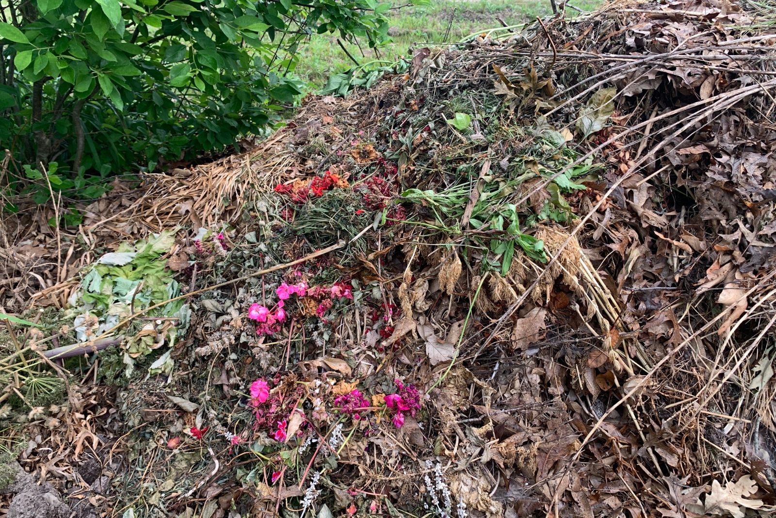 9 November Garden Updates To Support Wildlife In Michigan