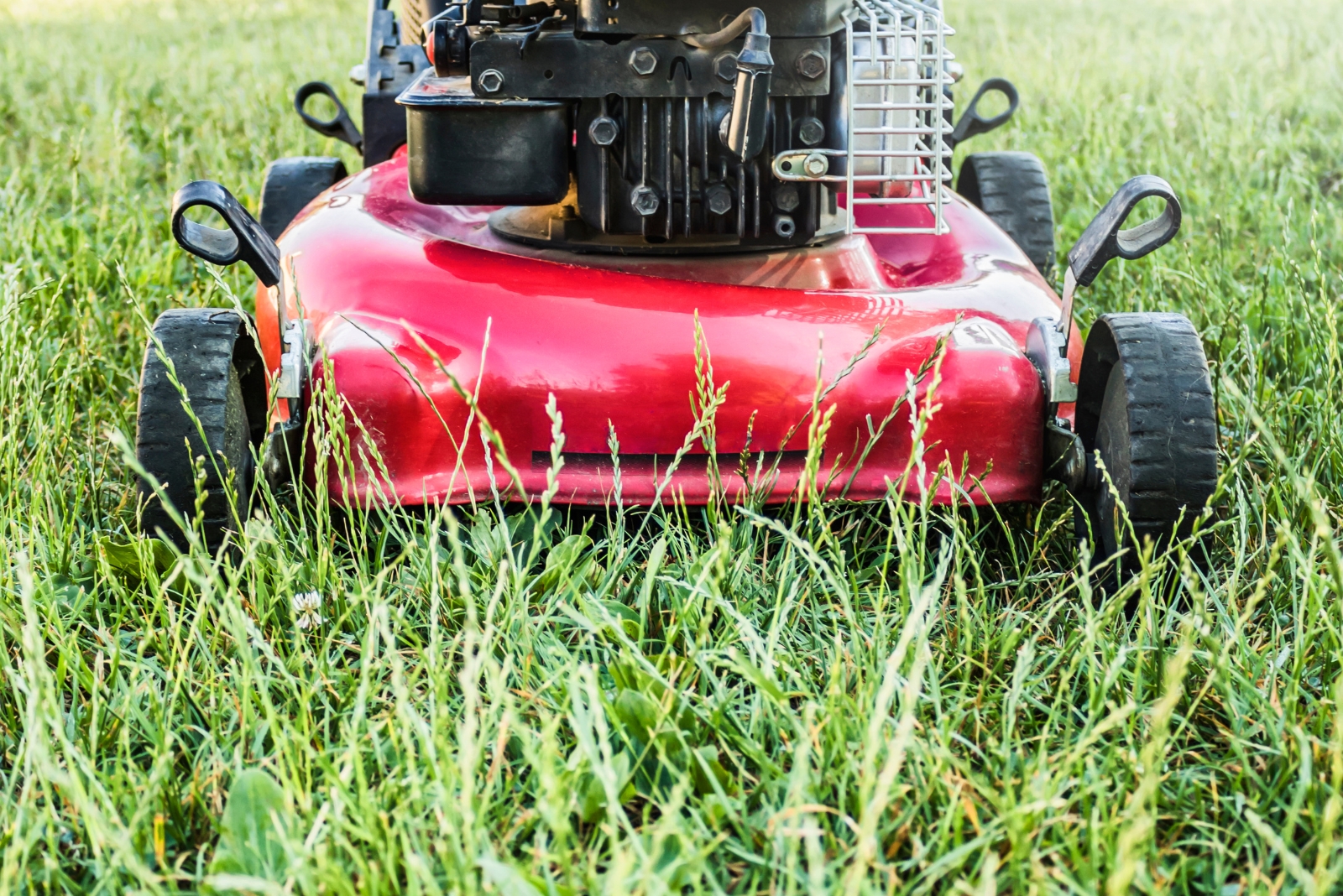 9 November Lawn Mowing Rules Every Georgia Homeowner Should Follow