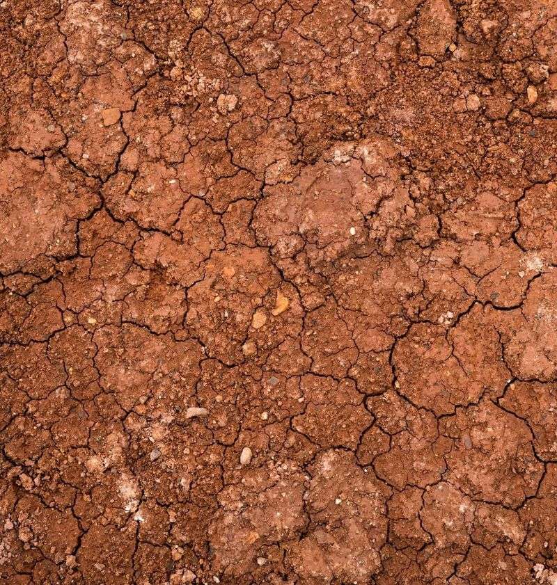 Areas With Heavy Clay Soil