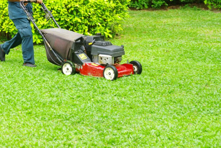 lawn mowing (featured image)