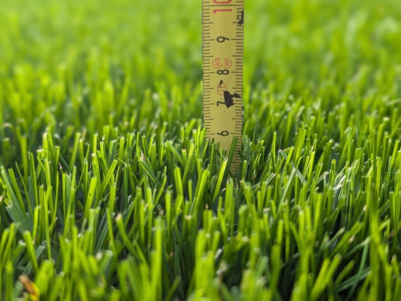 Adjust Your Mower Blade Height