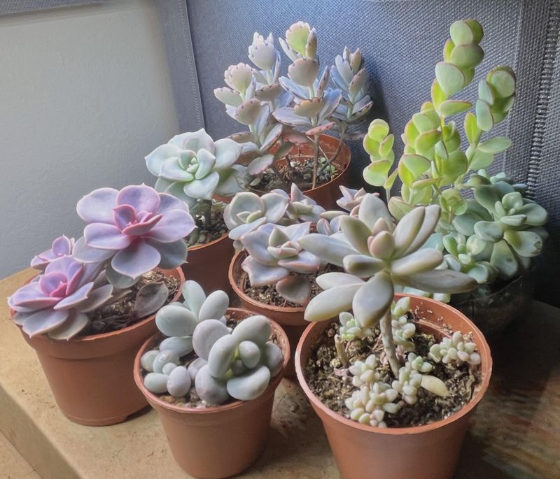 10. Be Patient And Enjoy The Process