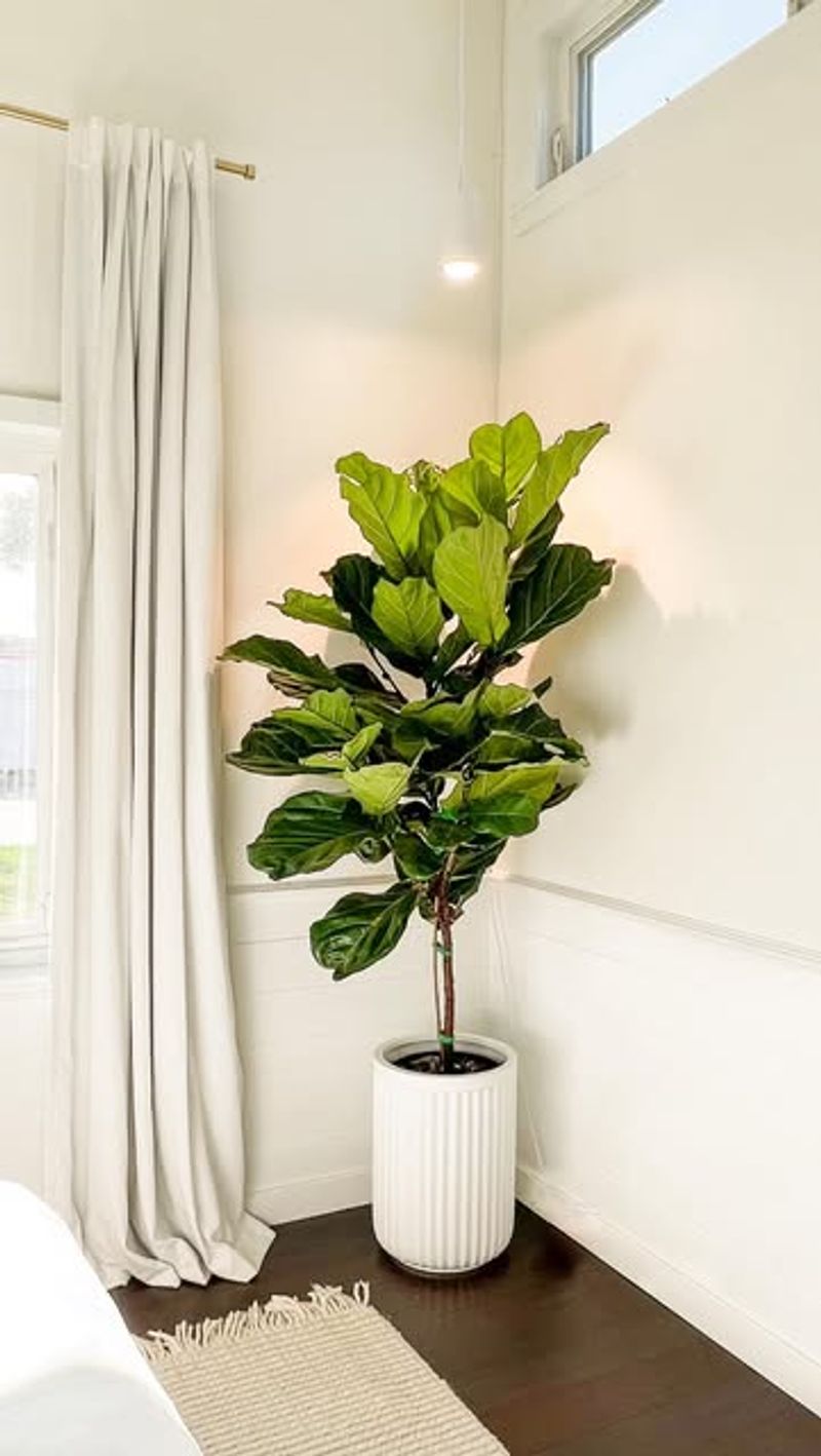 10. Be Patient And Consistent