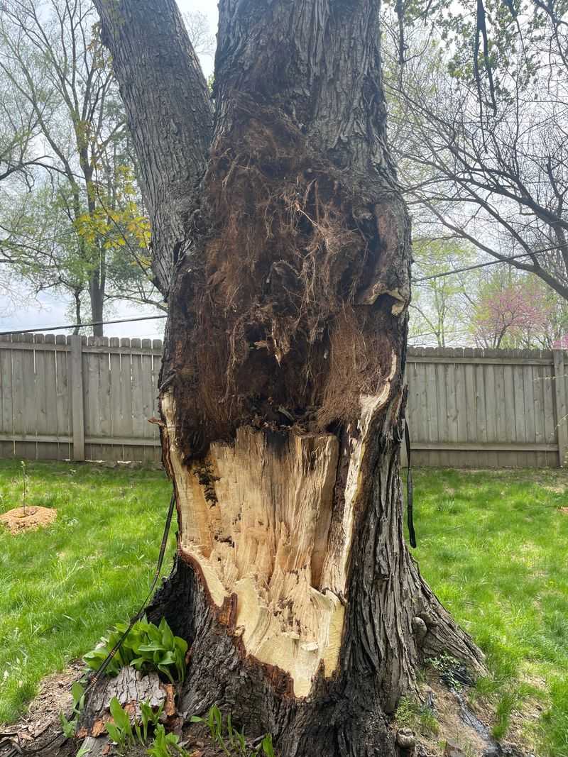 Weak Wood Creates More Wounds