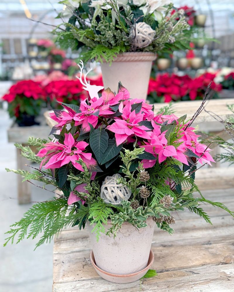 Building A Stunning Entryway Container Garden