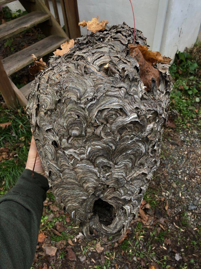 The Texture Reveals Construction Secrets