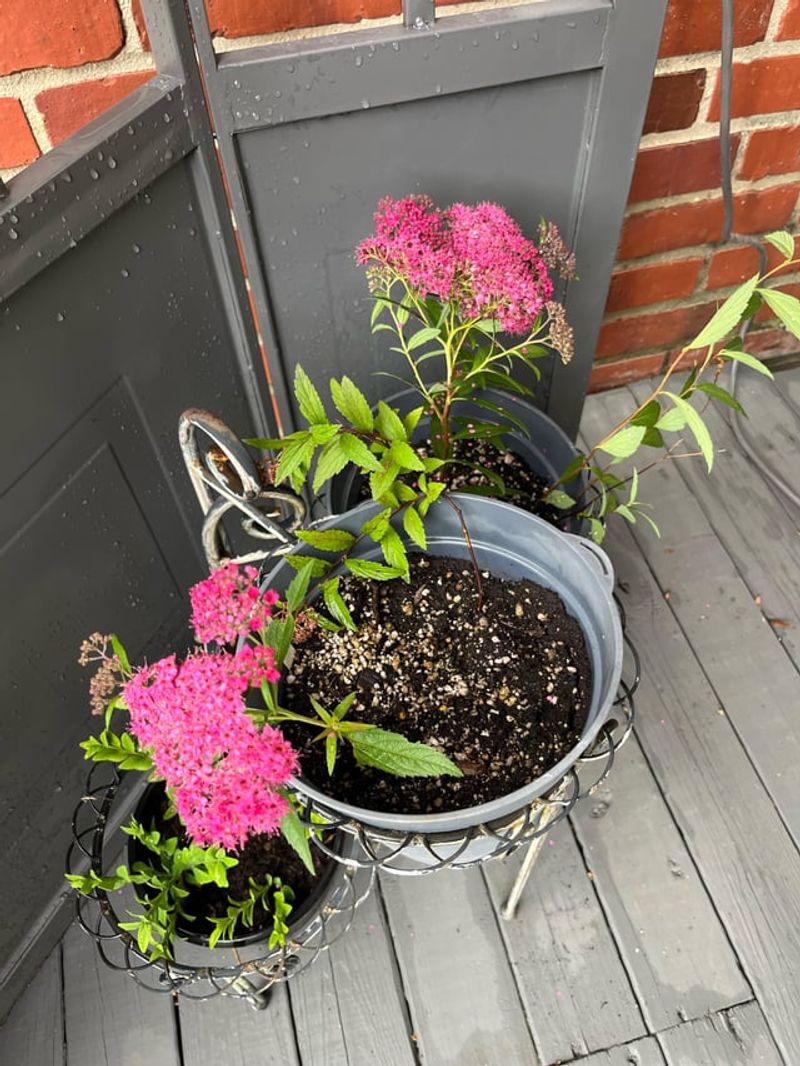 Affordable And Easy To Find