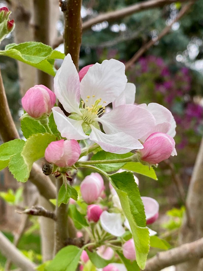 Backyard Gardeners Are Noticing Changes Too