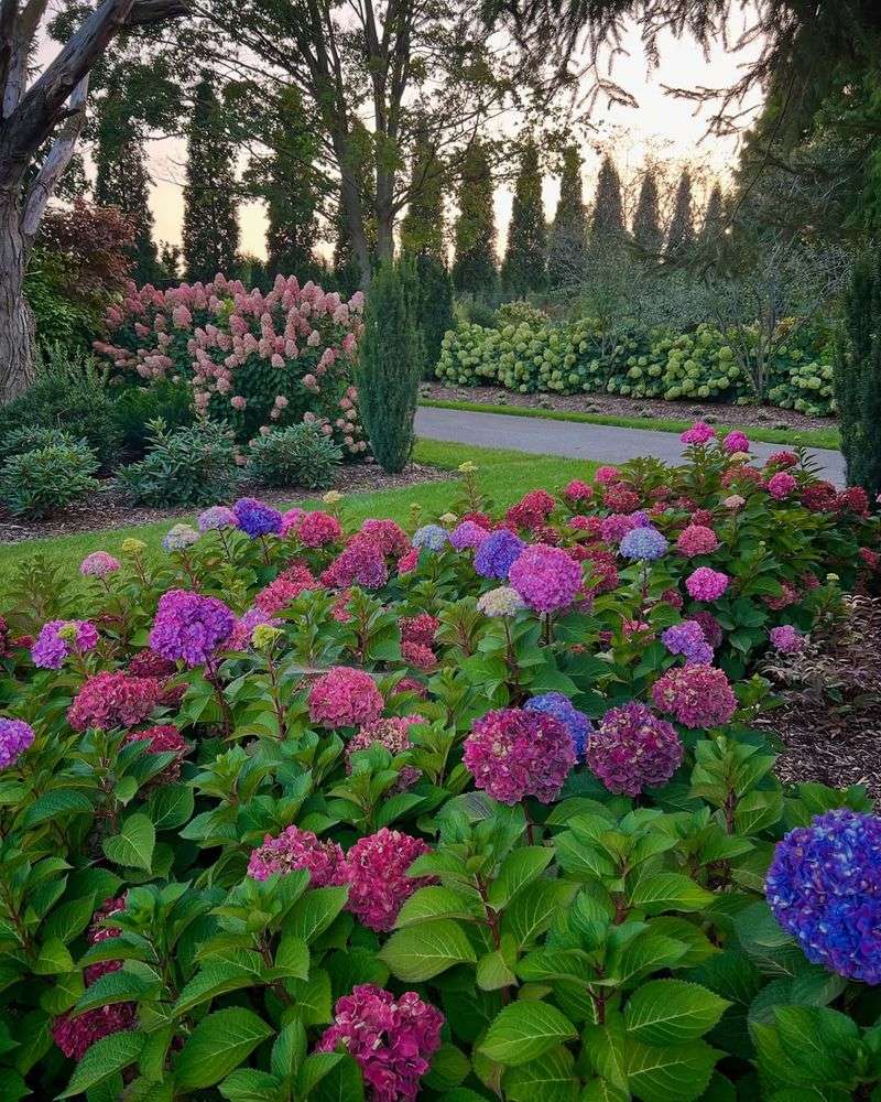 Stop Fertilizing Immediately If You Haven't Already