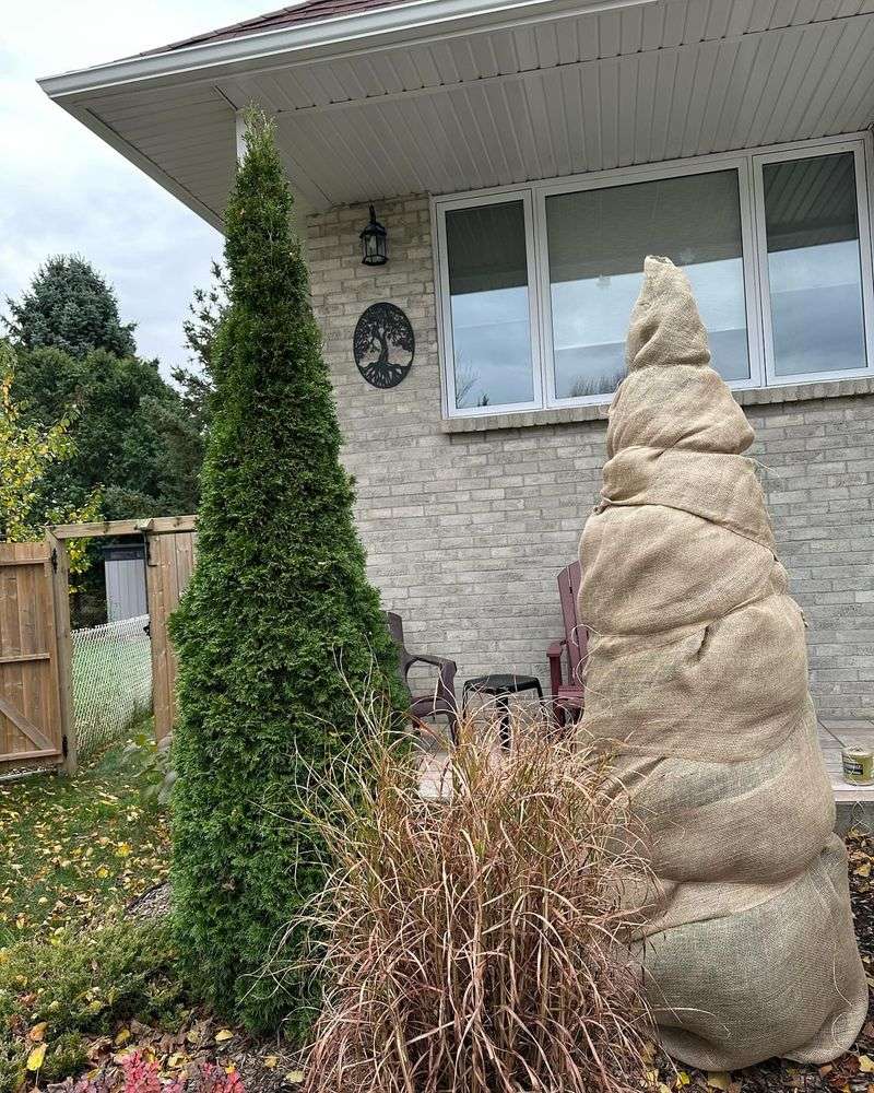 Install Windbreaks To Shield From Harsh Gusts