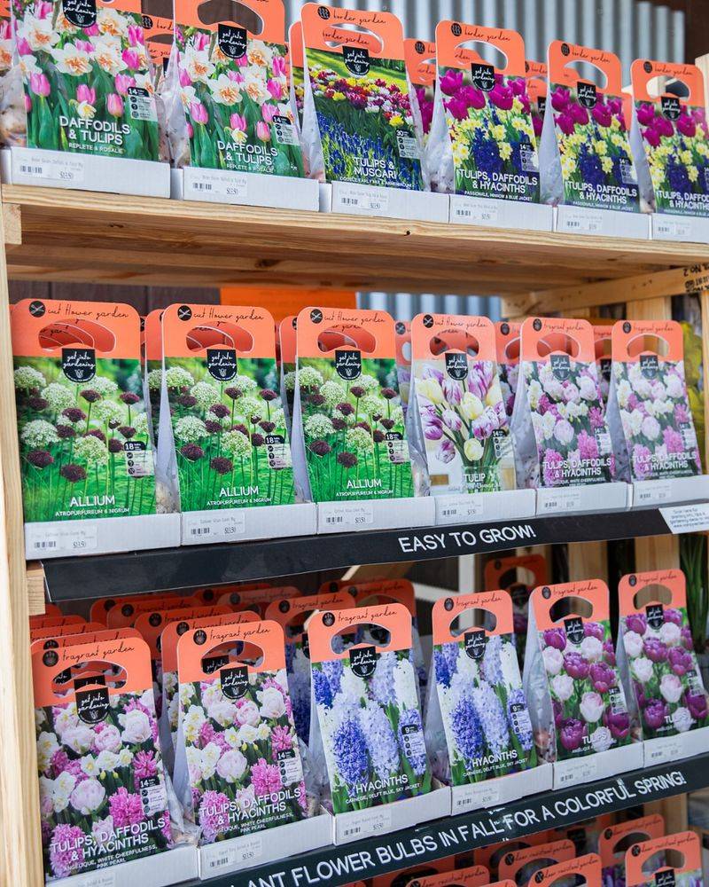 Plant Spring-Blooming Bulbs