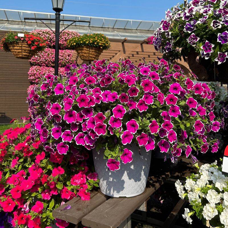 Fill Empty Corners With Life