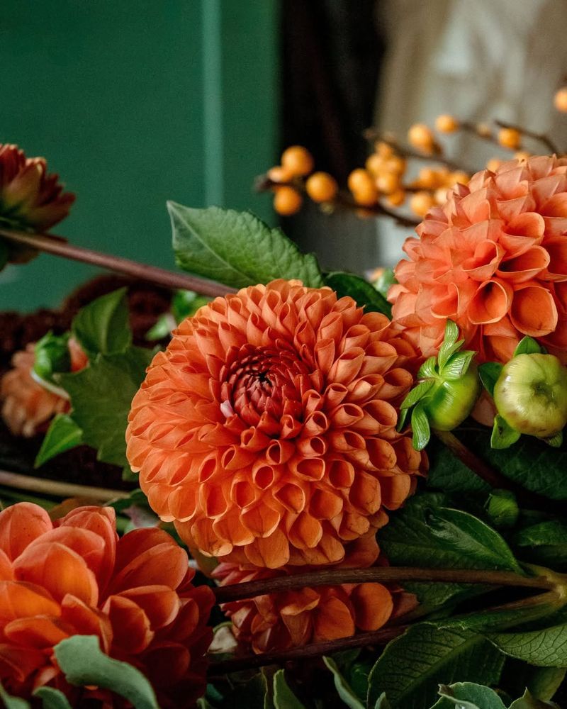 Group Warm Colors Together