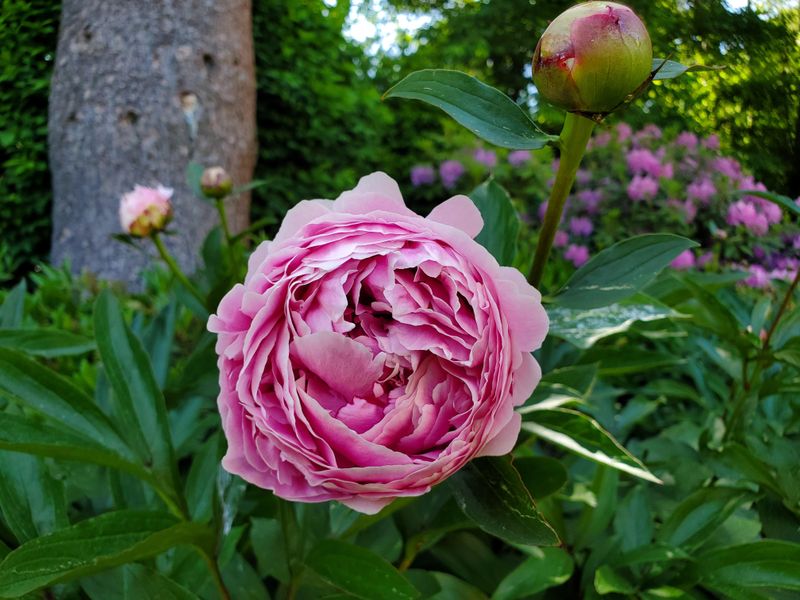 Monitor And Adjust Throughout The Season