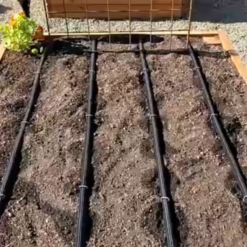Consider Drip Irrigation Systems