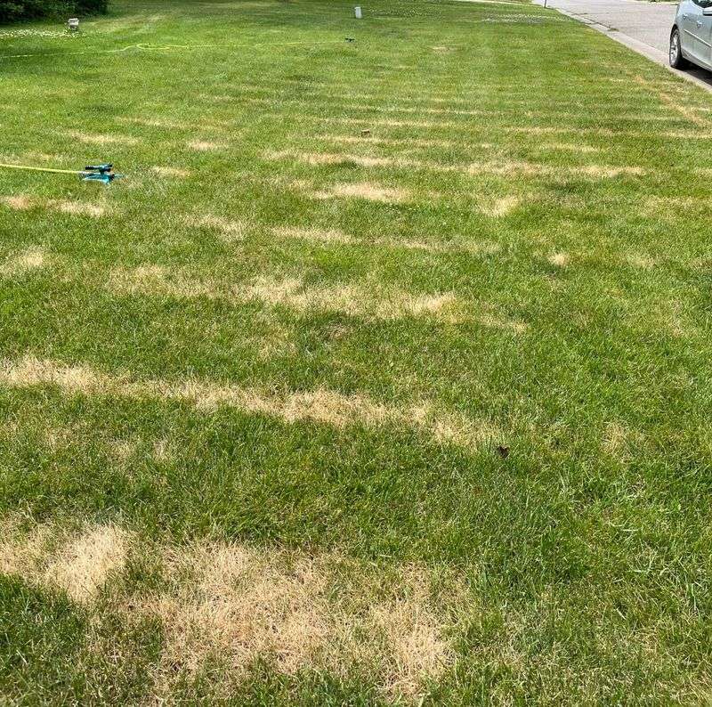 Mow When Grass Is Dry