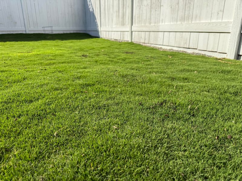 Mow Less Frequently as Growth Slows Down