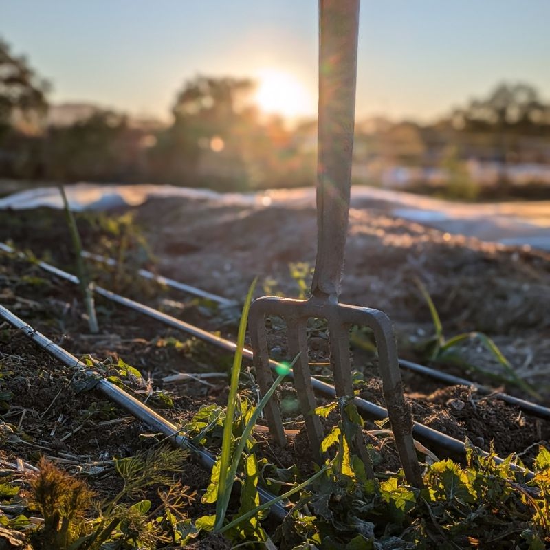 Apply Organic Fertilizers Before Winter